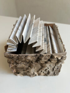 Nature’s Poetry in Wood I Paper I Birch Bark I Paper I Drawing I Fluid Coal I Gofun I H12xW12xD12cm