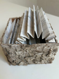 Birch Whispers